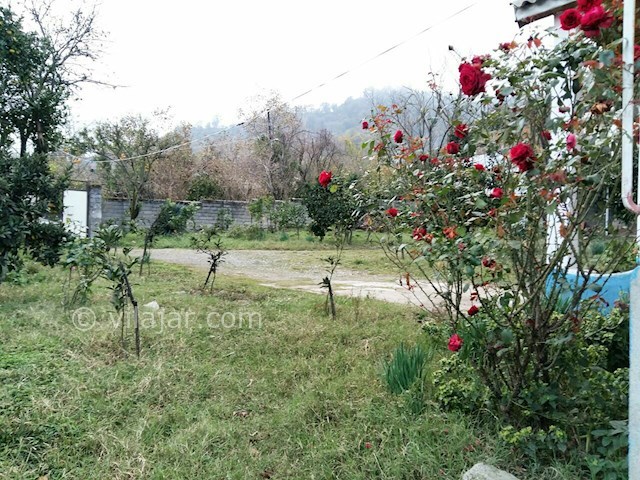 عکس شماره 182113 - اجاره ویلای جنگلی در تالش - 