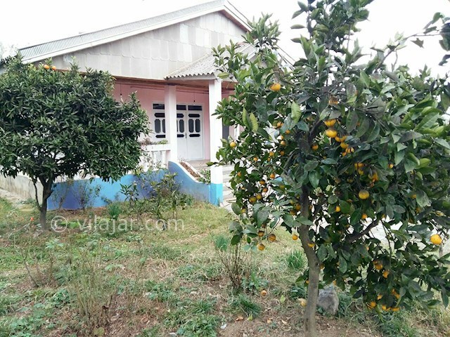 عکس شماره 182135 - اجاره ویلای جنگلی در تالش - 