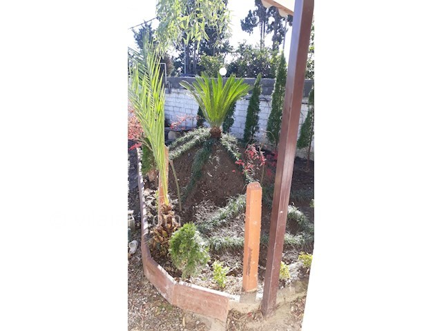 عکس شماره 185187 - اجاره ویلا در رامسر بصل کوه - 