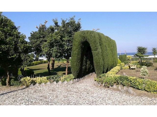 عکس شماره 186101 - اجاره ویلا در رامسر لب دریا - 