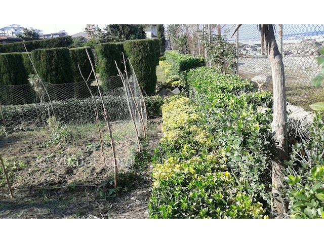 عکس شماره 186105 - اجاره ویلا در رامسر لب دریا - 