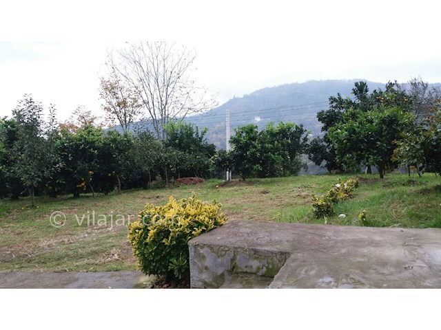 عکس شماره 186187 - اجاره ویلا در ارتفاعات رامسر - 