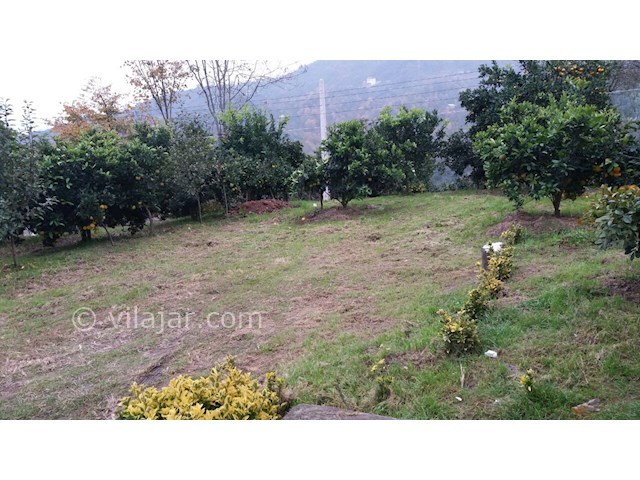 عکس شماره 186191 - اجاره ویلا در ارتفاعات رامسر - 