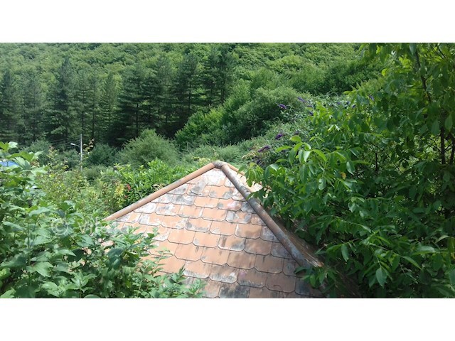 عکس شماره 186405 - اجاره ویلا در کلاردشت - 