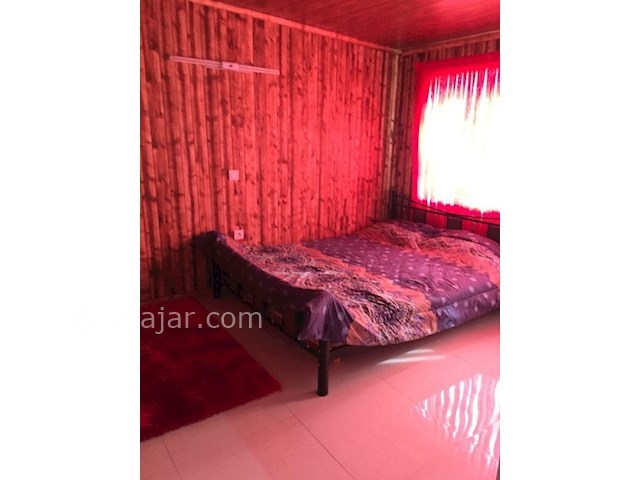 عکس شماره 186617 - اجاره ویلا در نور لب دریا - 