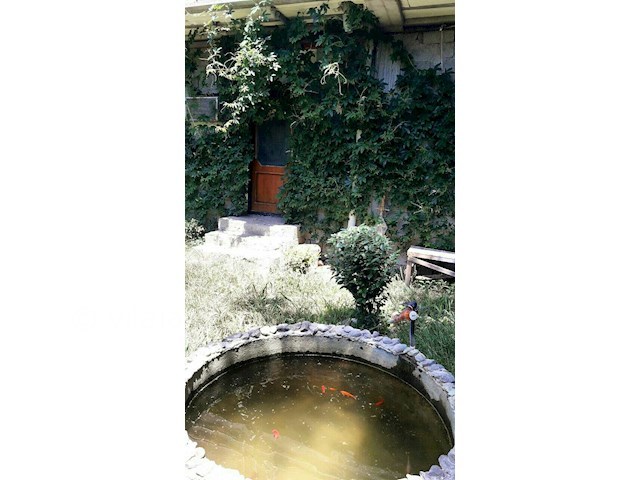 عکس شماره 187861 - اجاره کلبه سنتی در تالش - 