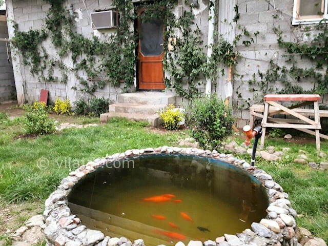 عکس شماره 188551 - سوئیت آپارتمان در لیسار تالش - 