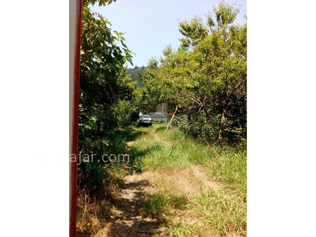 عکس شماره 18863 - اجاره ویلا شمال در رحیم آباد - 