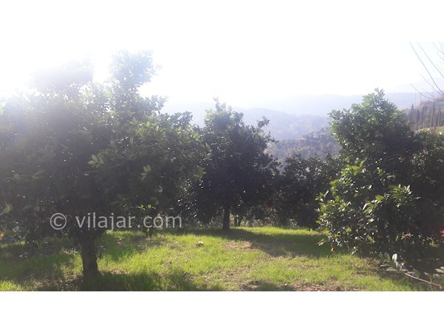 عکس شماره 190289 - اجاره ویلا در ارتفاعات رامسر - 