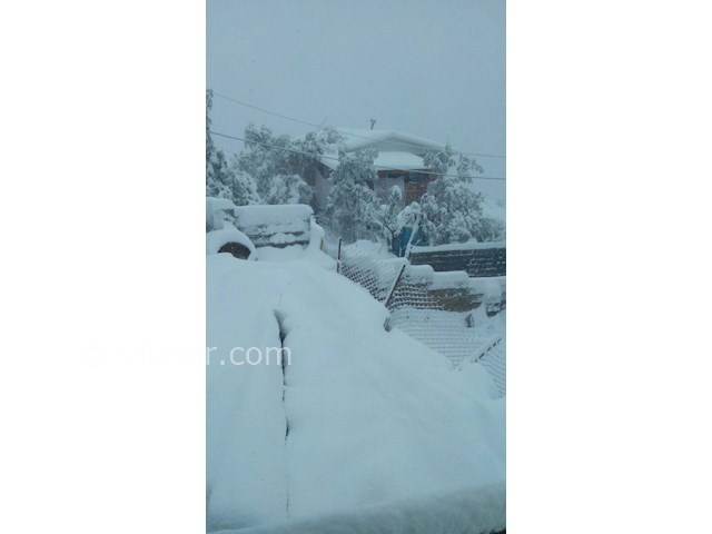 عکس شماره 191131 - اجاره خانه روستایی در فیلبند - 