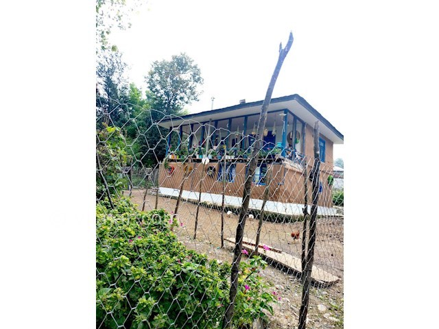 عکس شماره 191185 - اقامتگاه بومگردی گالش کولام -