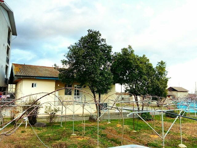 عکس شماره 191637 - اجاره ویلای روستایی در تالش - 