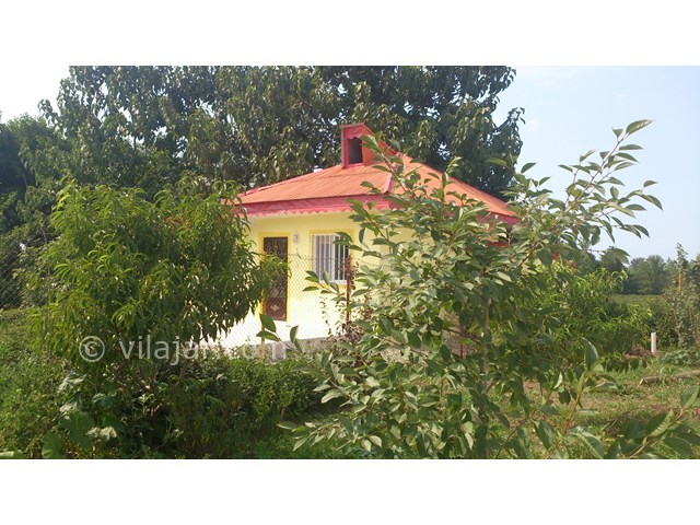 عکس شماره 19305 - اجاره ویلا در باغ چای گیلان - 