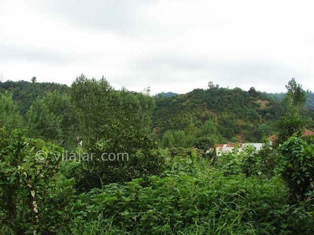 عکس شماره 193265 - اجاره ویلا جاده جواهردشت - 