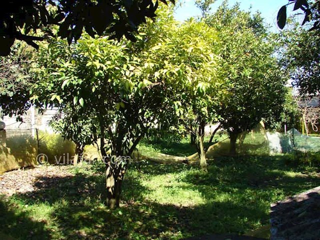 عکس شماره 193283 - اجاره ویلای دوبلکس چابکسر - 