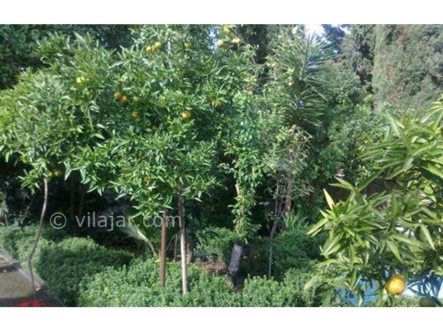 عکس شماره 1945 - ویلای استخردار در رامسر - 