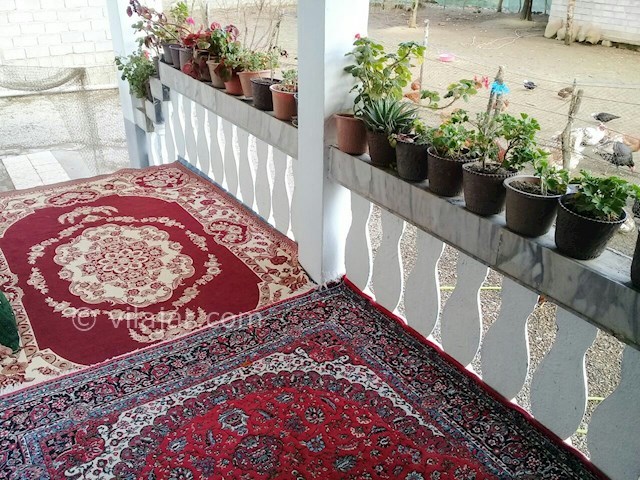 عکس شماره 194859 - اجاره خانه روستایی در گیسوم - 