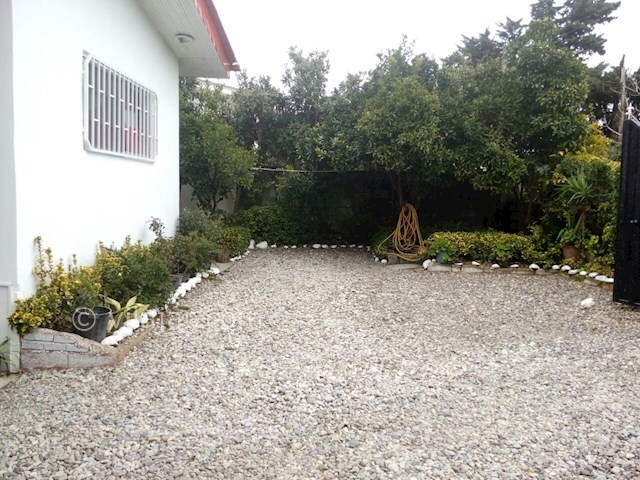 عکس شماره 196083 - اجاره ویلا در نزدیکی رامسر - 