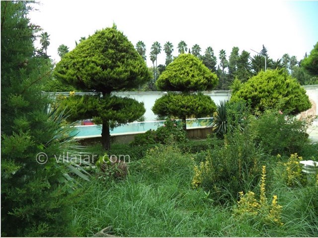 عکس شماره 19927 - اجاره ویلا استخردار رامسر - 