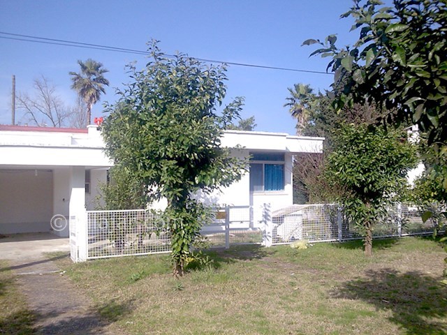 عکس شماره 202467 - اجاره ویلا دهکده ساحلی انزلی - 