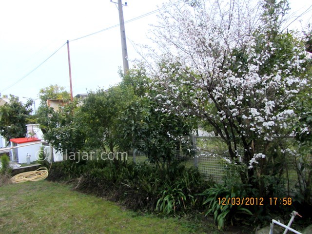 عکس شماره 202515 - اجاره ویلا دهکده ساحلی انزلی - 