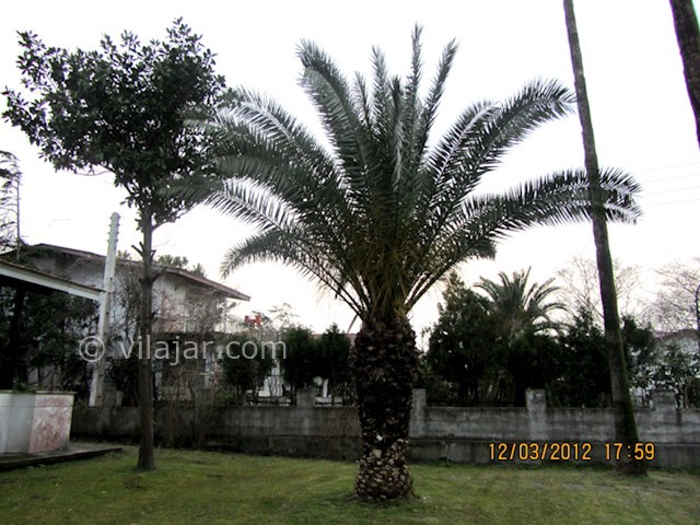 عکس شماره 202517 - اجاره ویلا دهکده ساحلی انزلی - 