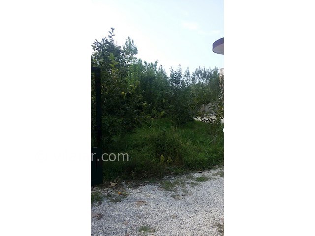 عکس شماره 203367 - اجاره ویلا در هچیرود - 