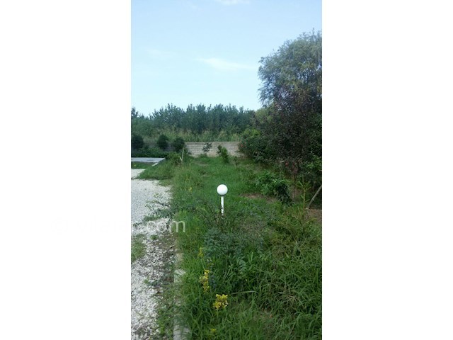 عکس شماره 203371 - اجاره ویلا در هچیرود - 