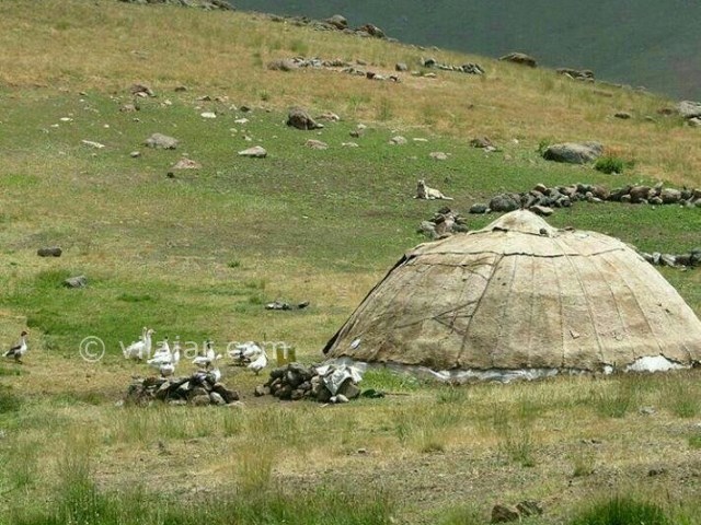 عکس شماره 205059 - اقامتگاه بومگردی اوبا - 