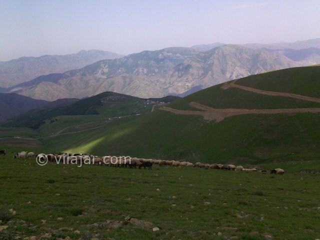 عکس شماره 205081 - اقامتگاه بومگردی اوبا - 