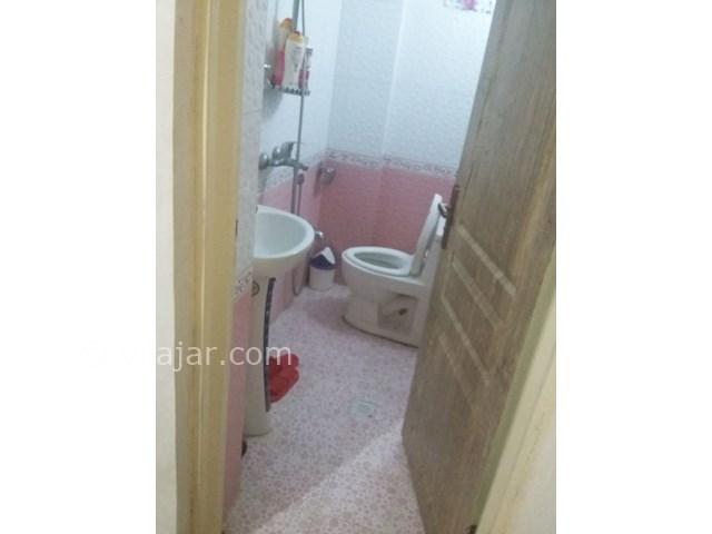 عکس شماره 206831 - ویلا جنگلی اجاره ای در رامسر - 