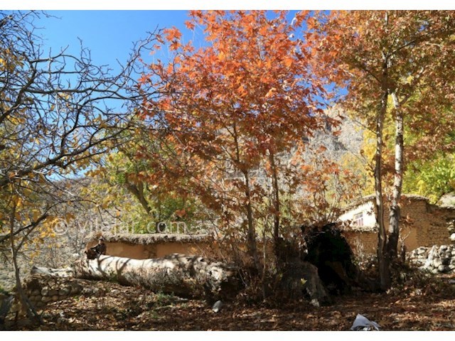 عکس شماره 207001 - اقامتگاه بومگردی کندازی - 