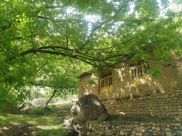 عکس شماره 207005 - اقامتگاه بومگردی کندازی - 