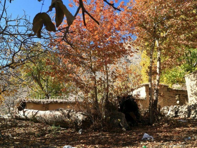 عکس شماره 207065 - اقامتگاه کهن یادگار مهرآفرین - 