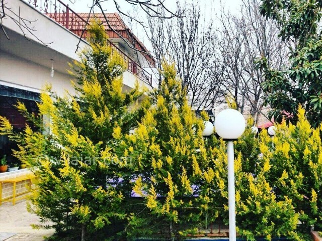 عکس شماره 207099 - اقامتگاه بومگردی باغ گلها - 