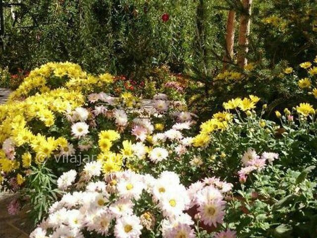 عکس شماره 207117 - اقامتگاه بومگردی باغ گلها - 