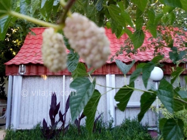 عکس شماره 207121 - اقامتگاه بومگردی باغ گلها - 