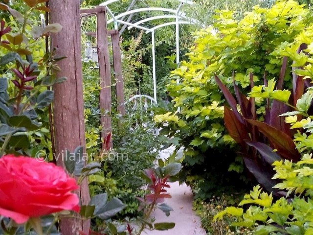 عکس شماره 207123 - اقامتگاه بومگردی باغ گلها - 