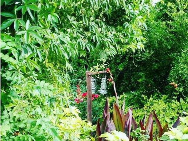 عکس شماره 207137 - اقامتگاه بومگردی باغ گلها - 