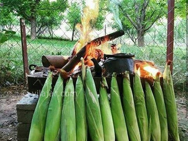 عکس شماره 207139 - اقامتگاه بومگردی باغ گلها - 