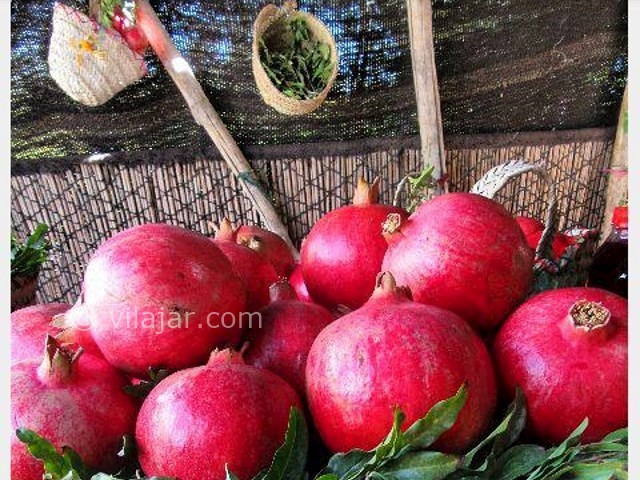 عکس شماره 207147 - اقامتگاه بومگردی باغ گلها - 