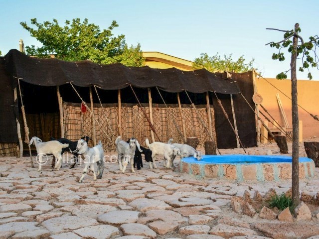 عکس شماره 208587 - اقامتگاه بومگردی قصر یعقوب - 