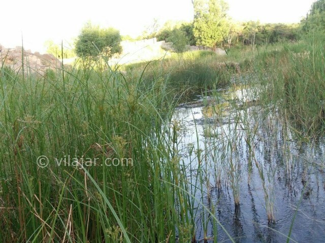 عکس شماره 208597 - اقامتگاه بومگردی قصر یعقوب - 