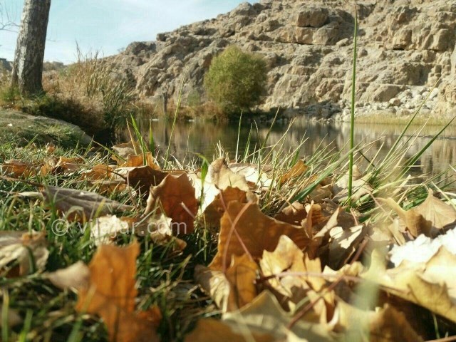 عکس شماره 208613 - اقامتگاه بومگردی قصر یعقوب - 