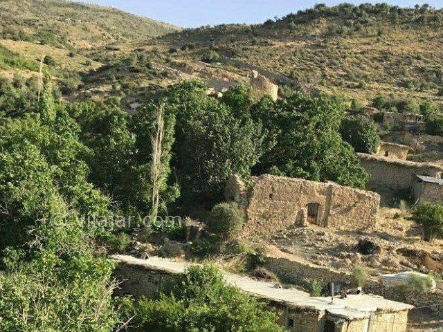 عکس شماره 214437 - اقامتگاه بوم کلبه کوهسار - 