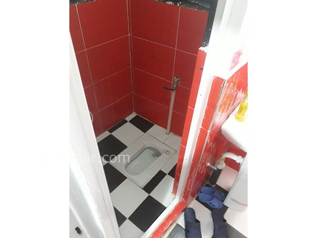 عکس شماره 215323 - اجاره سوئیت در شیرود - 