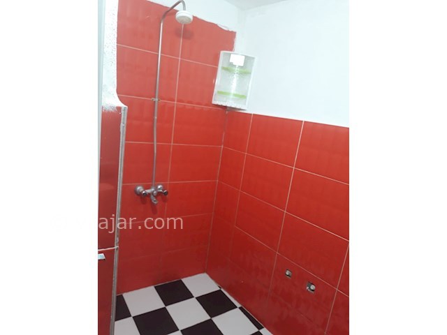 عکس شماره 215325 - اجاره سوئیت در شیرود - 