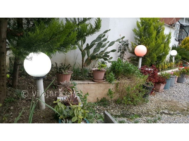 عکس شماره 218247 - اجاره ویلا نزدیک نور - 