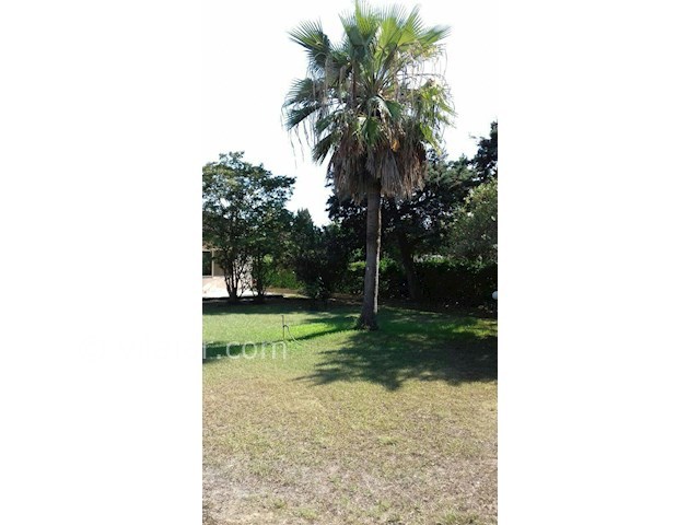 عکس شماره 218475 - اجاره ویلا در خزرشهر - 