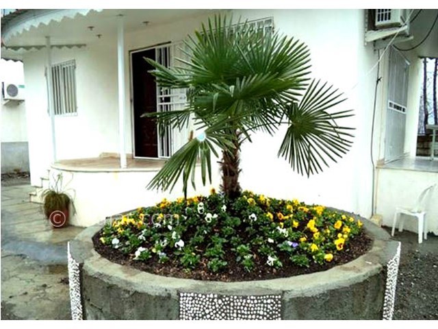 عکس شماره 22093 - ویلا با ساحل اختصاصی رامسر - 